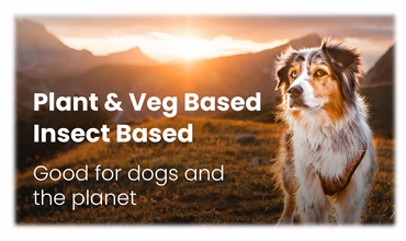 Picture for category Plant & Insect Based Dog Food