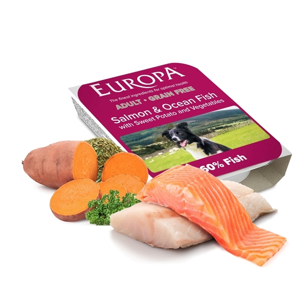 Picture of TEMPORARILY OUT OF STOCK Europa Grain Free Salmon & Ocean Fish with Sweet Potato 395g Tray